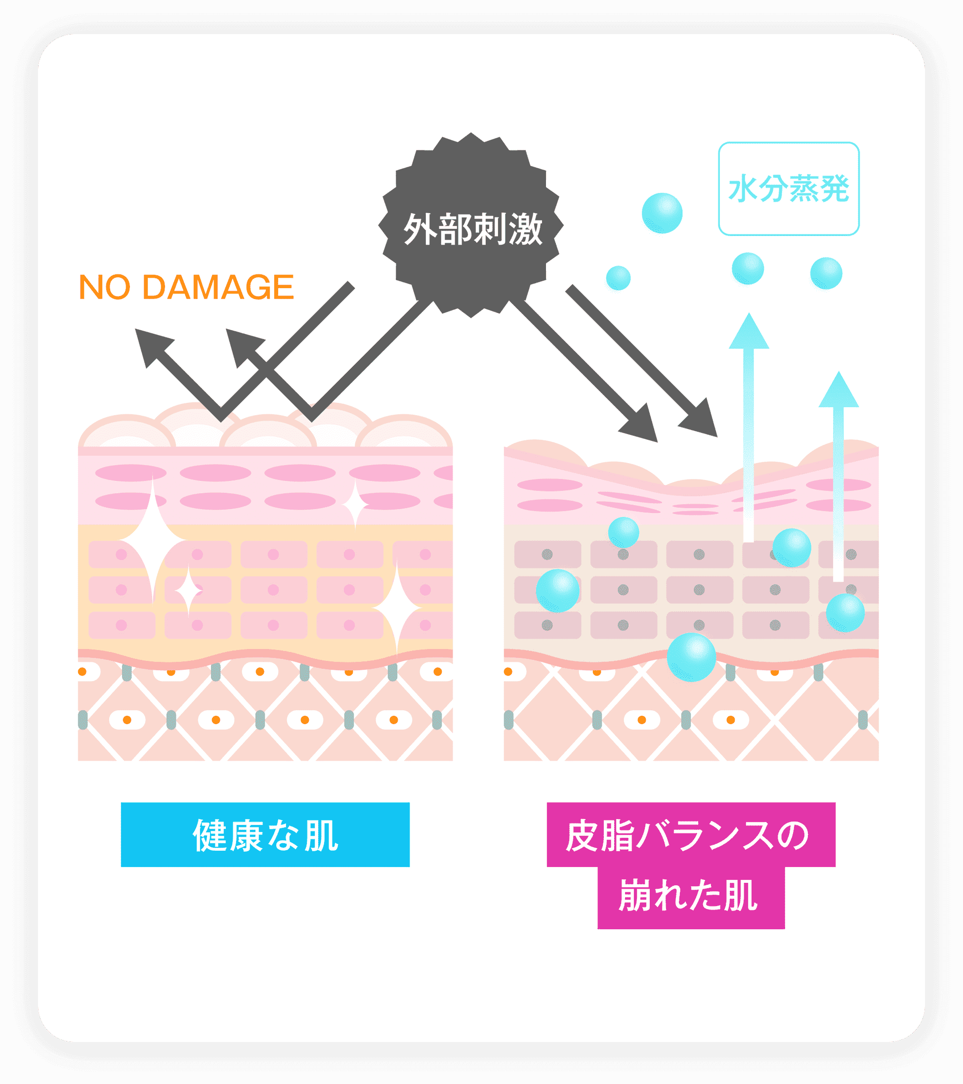 外部刺激